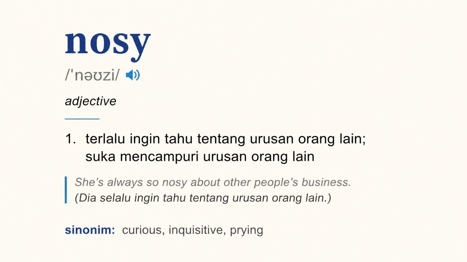 nosy artinya